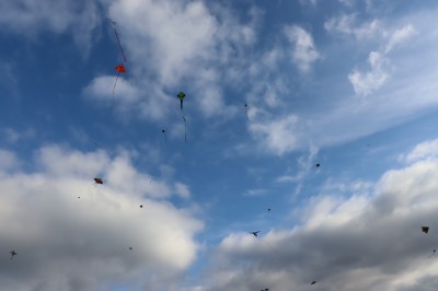 IMG_3150.JPG