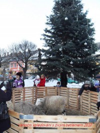 sdc13220.jpg
