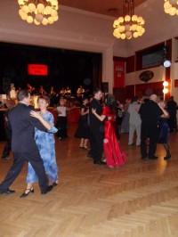 sdc11806.jpg