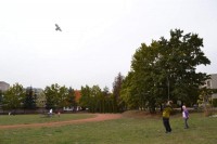 dsc_0020.jpg