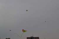 dsc_0067.jpg