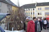 dsc_0106.jpg