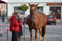 dsc_0273.jpg