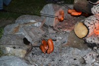 dsc_0093.jpg