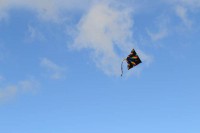 dsc_0339.jpg