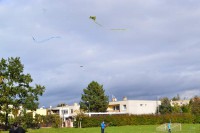 dsc_0354.jpg