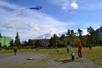 dsc_0360.jpg